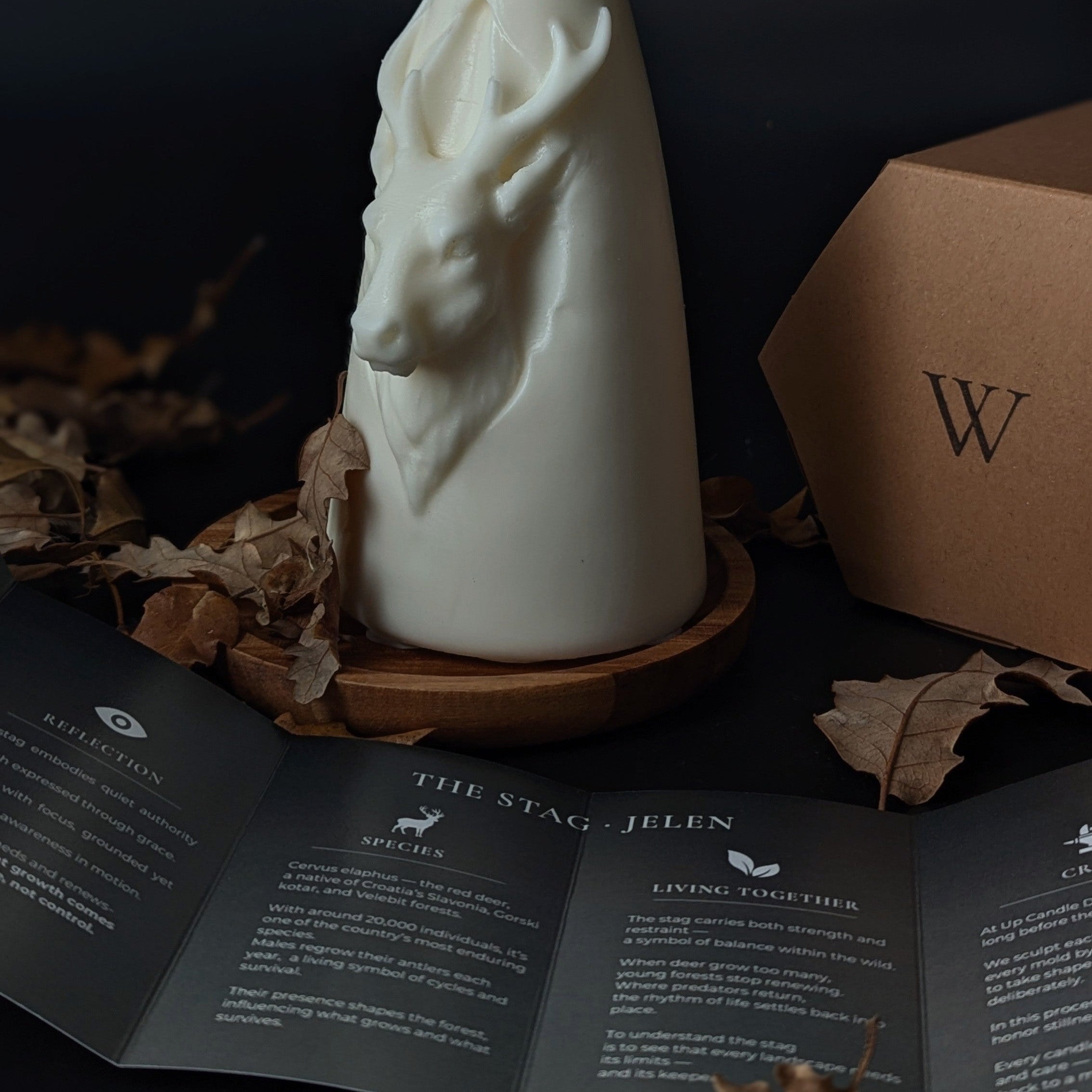 White candle with deer design on a dark background