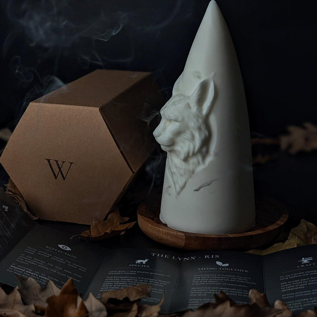 White candle with a lynxdesign on a dark surface with leaves and a box.
