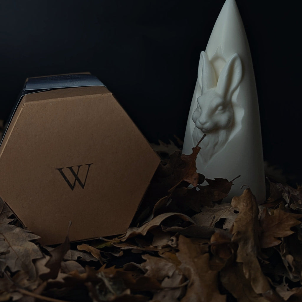 Decorative candle with a hexagonal container and leafy base on a dark background