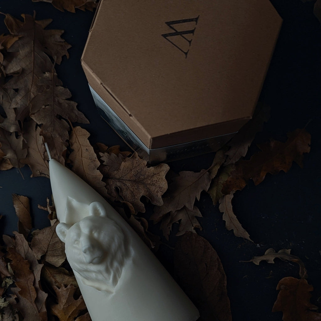 Hexagonal brown box with a logo on top of dried leaves