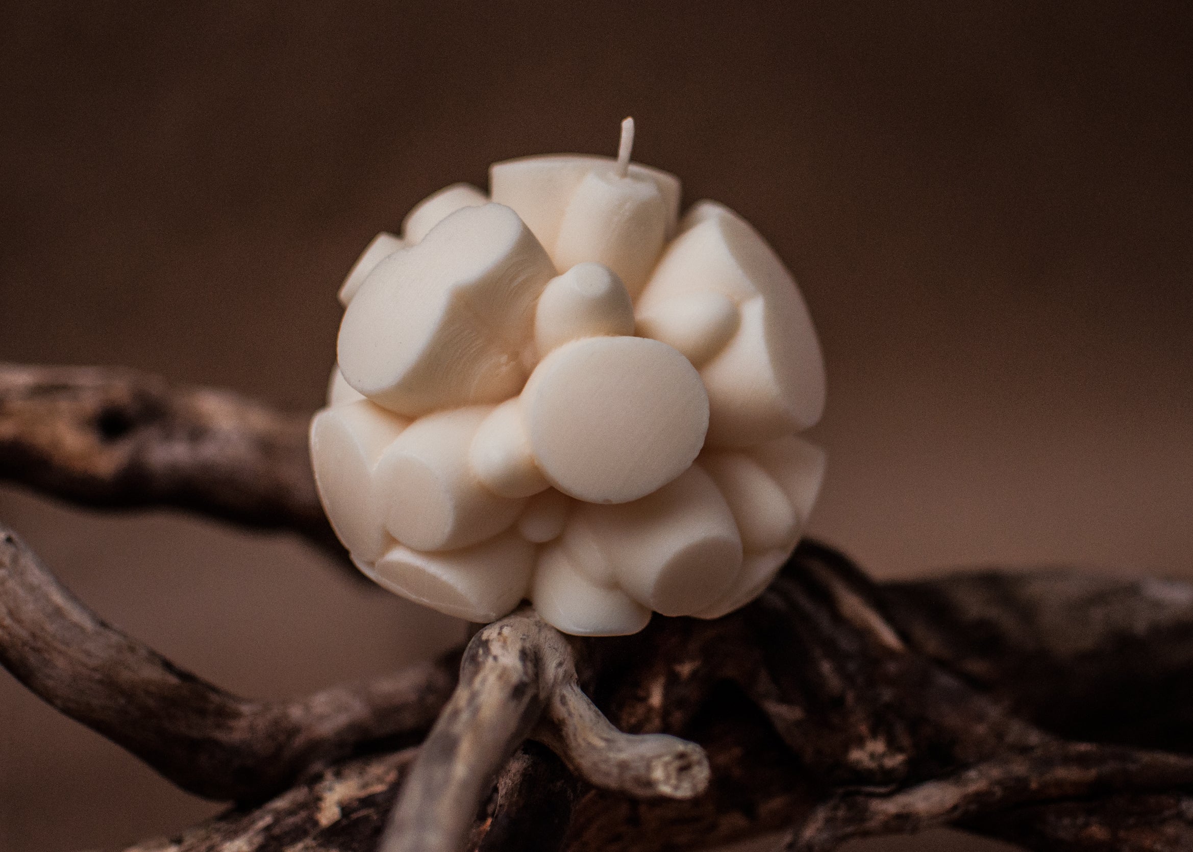 ANTHIS - Sculptural Candle